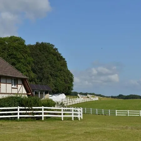 Pferdehof #11 - A45383 *